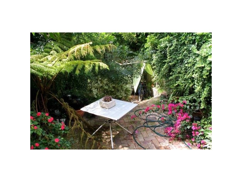 6 Dickson Street LEASED BY MICHAEL MURRAY IN ONE INSPECTION!!!!!, Newtown NSW 2042