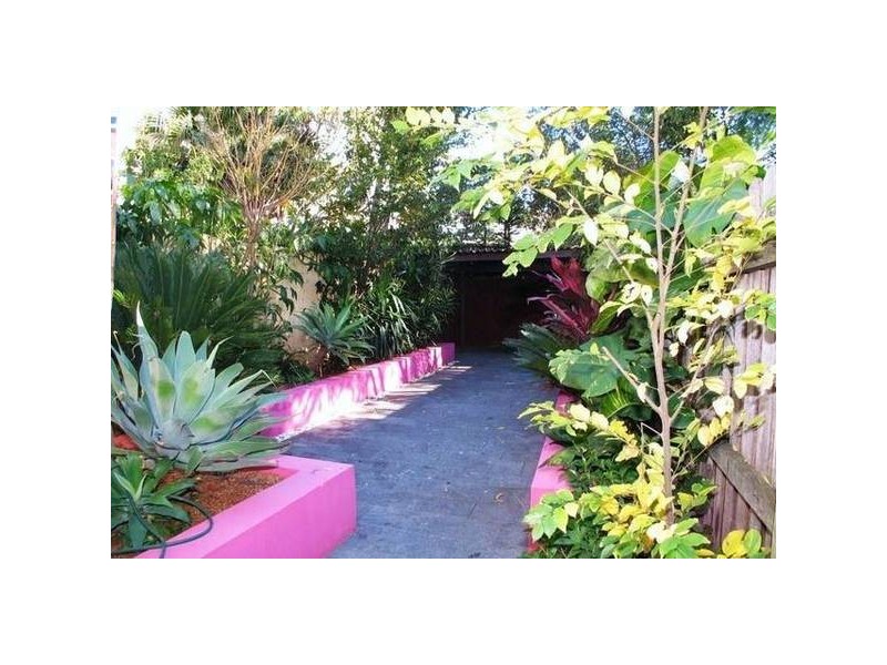 Campbell Avenue, Paddington NSW 2021