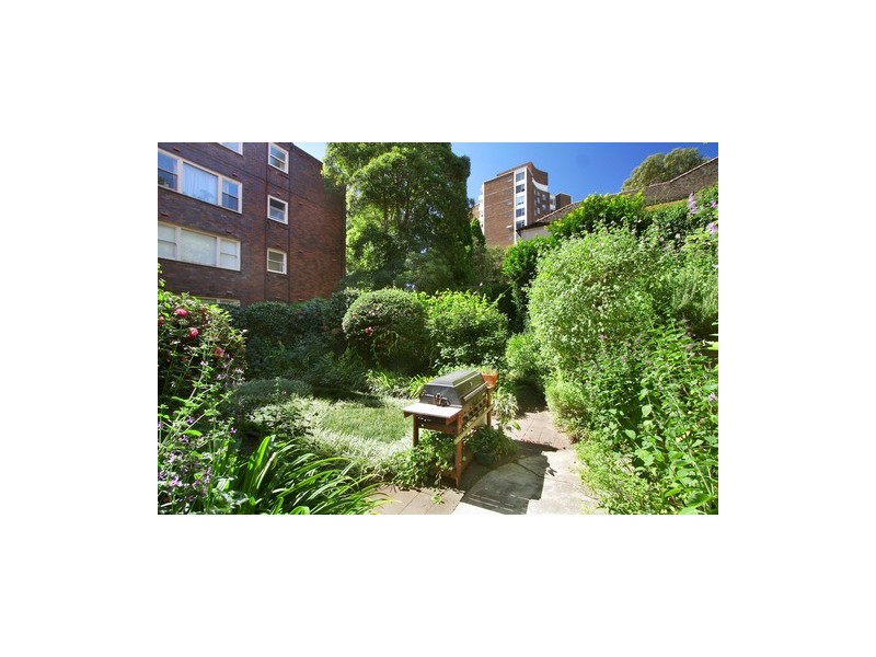 6/125 Ocean Street, Edgecliff NSW 2027