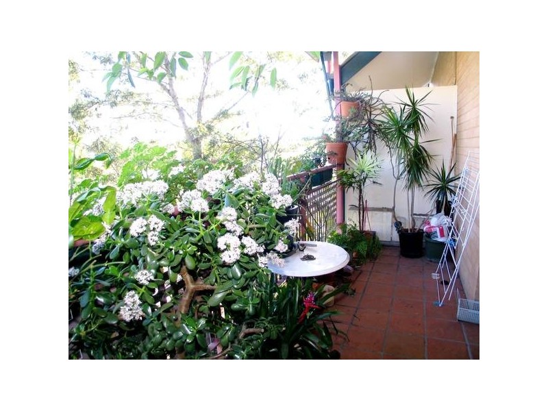 113 Brougham Street LEASED BY MICHAEL MURRAY IN ONE INSPECTION!!!!!, Woolloomooloo NSW 2011