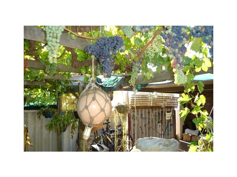 13 Eddington Close, Rangeway WA 6530