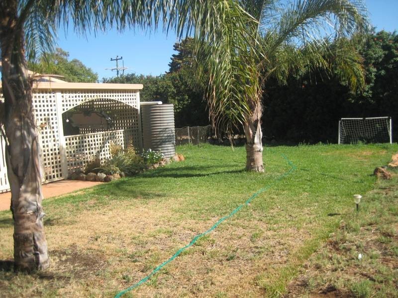 11 padbury street, Walkaway WA 6528