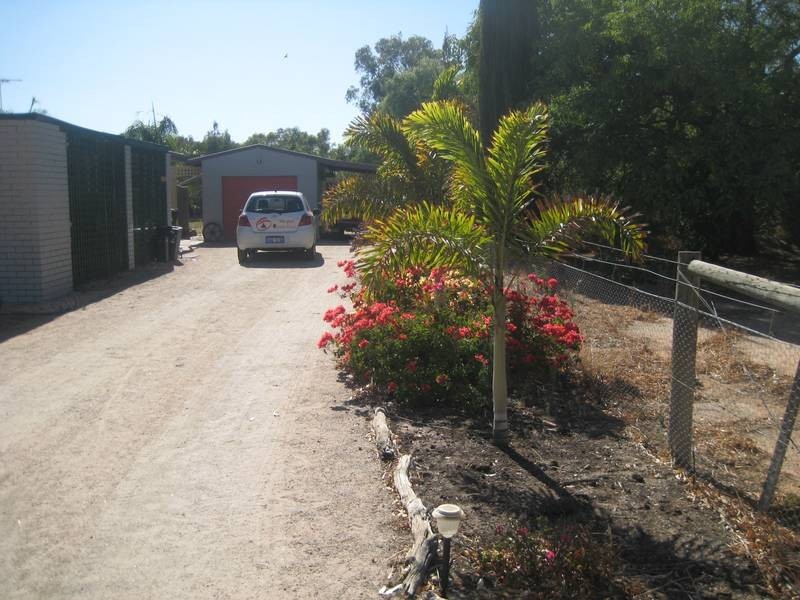 11 padbury street, Walkaway WA 6528