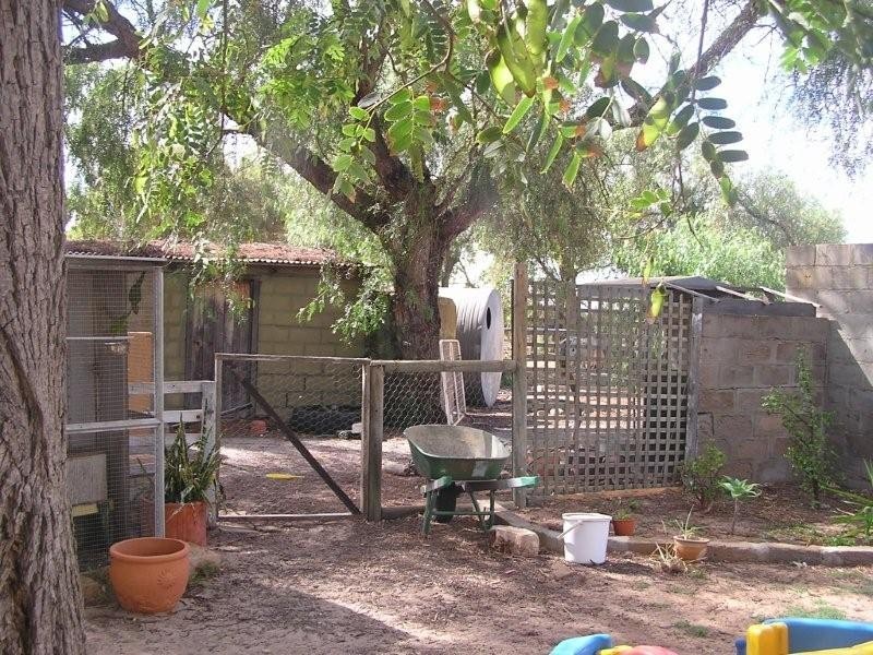 35 Padbury Road, Walkaway WA 6528