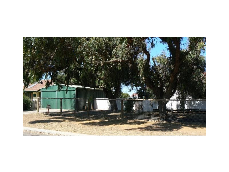 8 Whitfield Street, Beachlands WA 6530