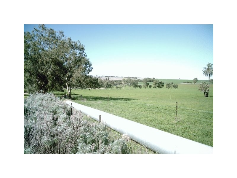 2298 Allanooka Springs Road, Allanooka WA 6525