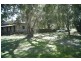 2298 Allanooka Springs Road, Allanooka WA 6525