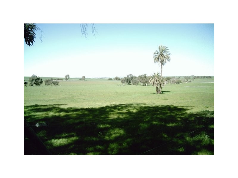 2298 Allanooka Springs Road, Allanooka WA 6525