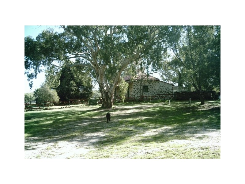 2298 Allanooka Springs Road, Allanooka WA 6525