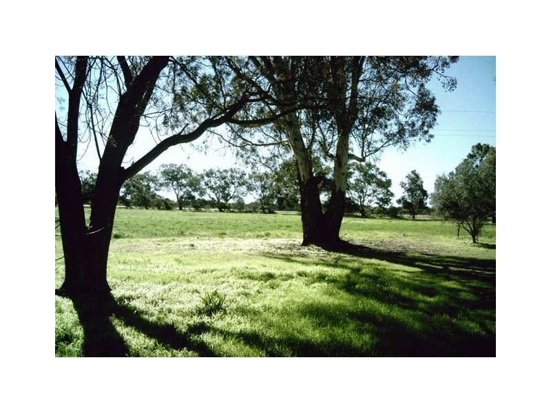 2298 Allanooka Springs Road, Allanooka WA 6525