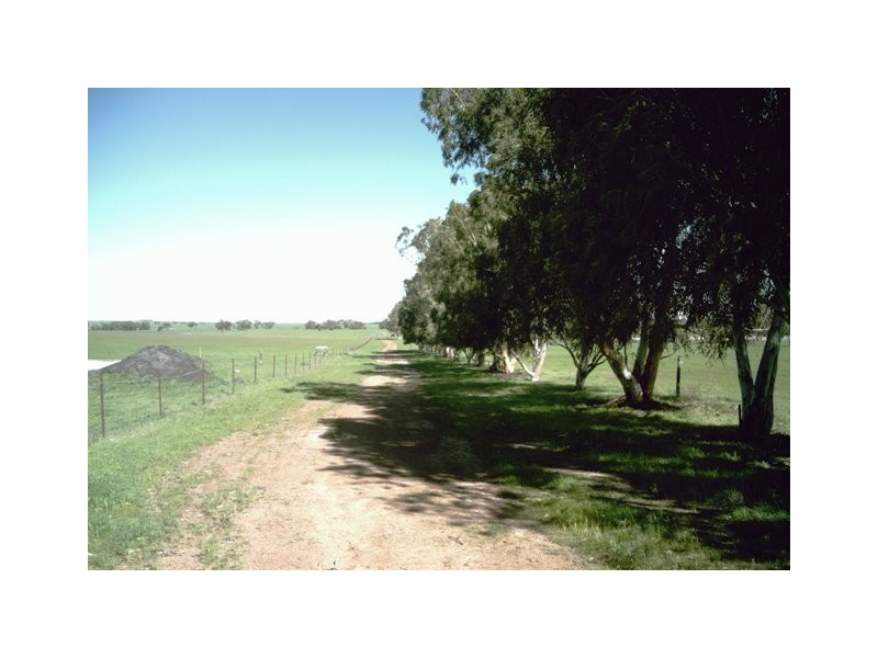 2298 Allanooka Springs Road, Allanooka WA 6525