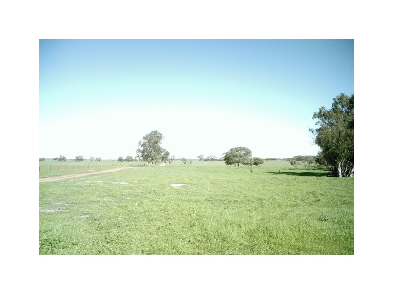 2298 Allanooka Springs Road, Allanooka WA 6525