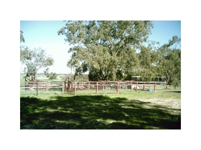 2298 Allanooka Springs Road, Allanooka WA 6525