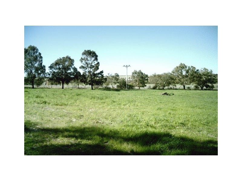 2298 Allanooka Springs Road, Allanooka WA 6525