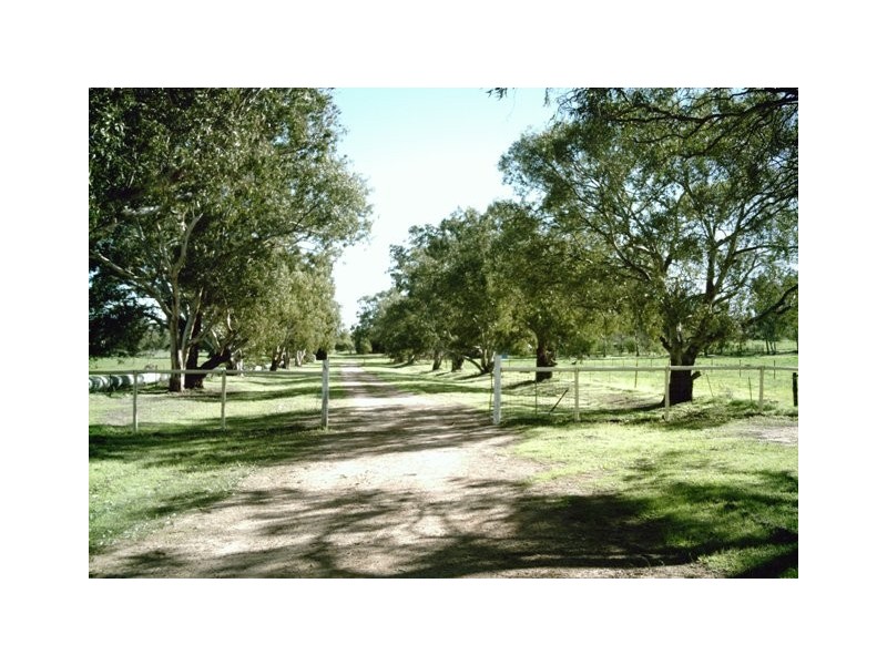 2298 Allanooka Springs Road, Allanooka WA 6525