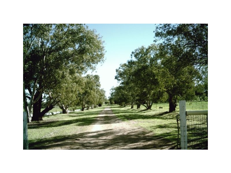 2298 Allanooka Springs Road, Allanooka WA 6525