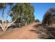 255 David Road, Waggrakine WA 6530