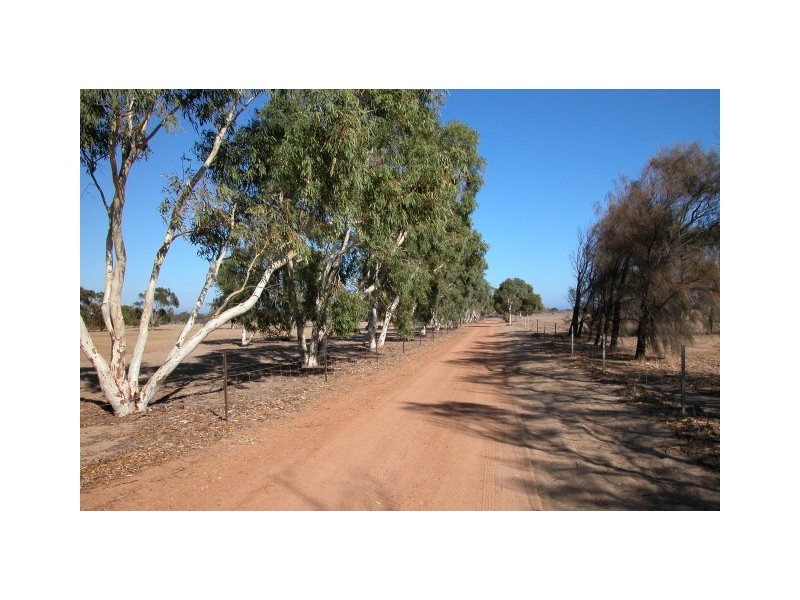 255 David Road, Waggrakine WA 6530