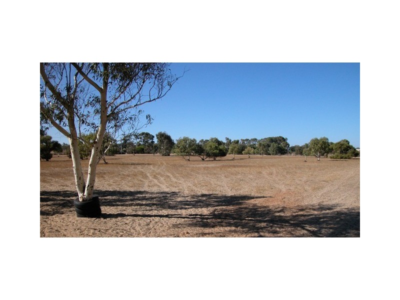 255 David Road, Waggrakine WA 6530