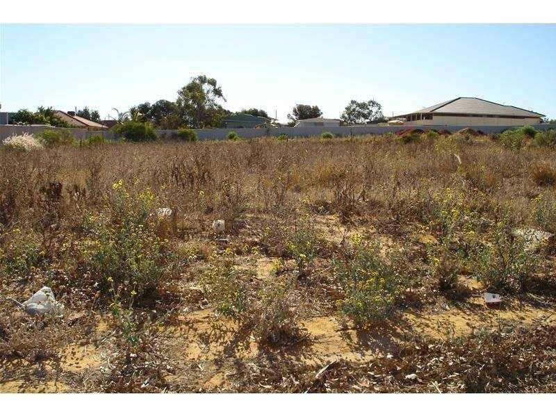 Lot 431, 84 Tersonia Way, Strathalbyn WA 6530