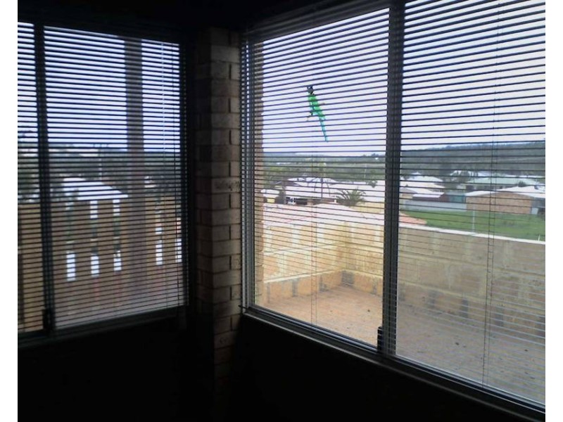 9 Ettrick Court, Cape Burney WA 6532