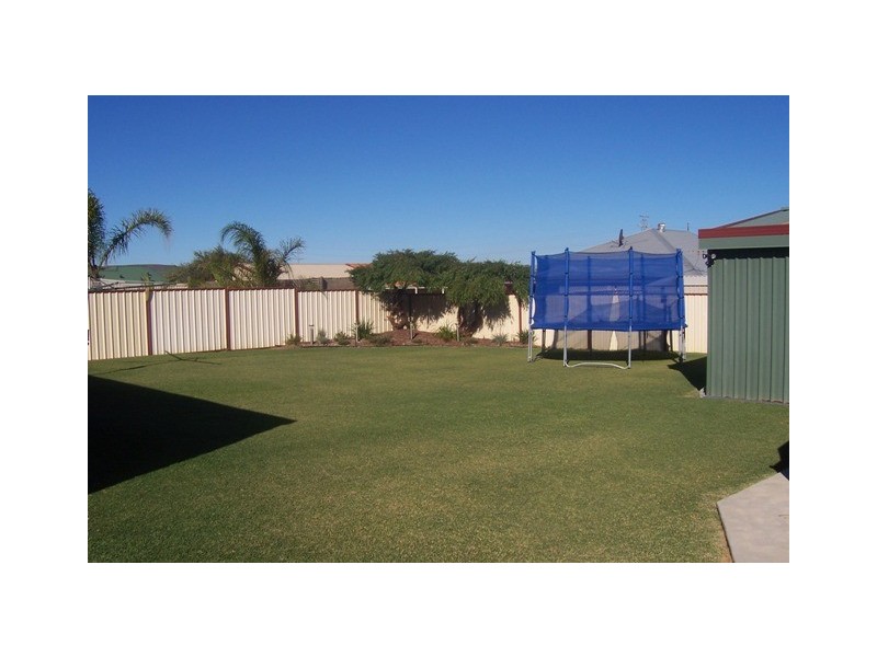 33 Weeloo Road, Waggrakine WA 6530