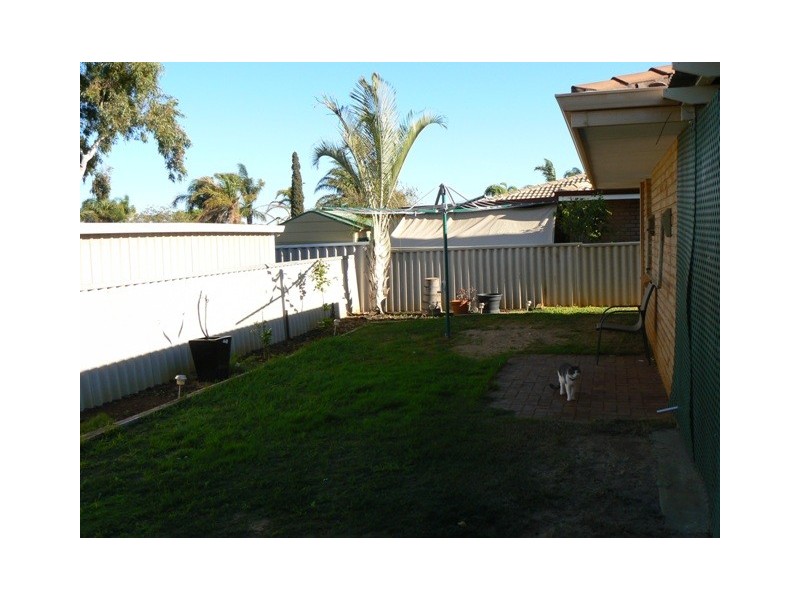 36 Pinyali Way, Waggrakine WA 6530