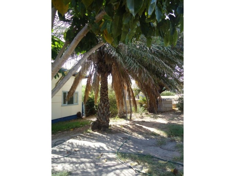 3 Malcolm Street, Bluff Point WA 6530