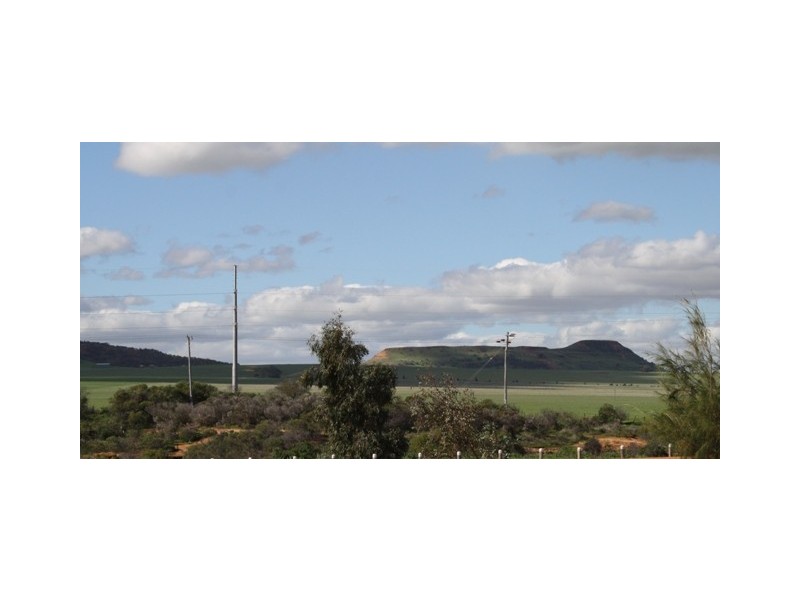 48 Tersonia Way, Strathalbyn WA 6530
