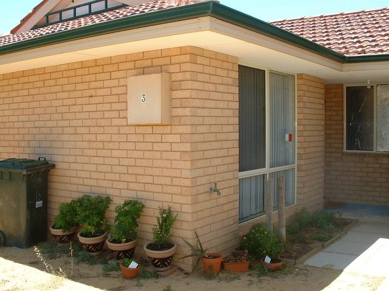 3/ Bagheera Court, Walkaway WA 6528
