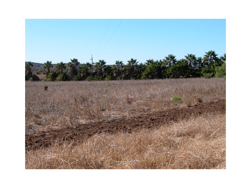 Lot 244, 1267 Company Road, Greenough WA 6532