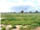 Lot 453, 15 Donegal Street, Utakarra WA 6530