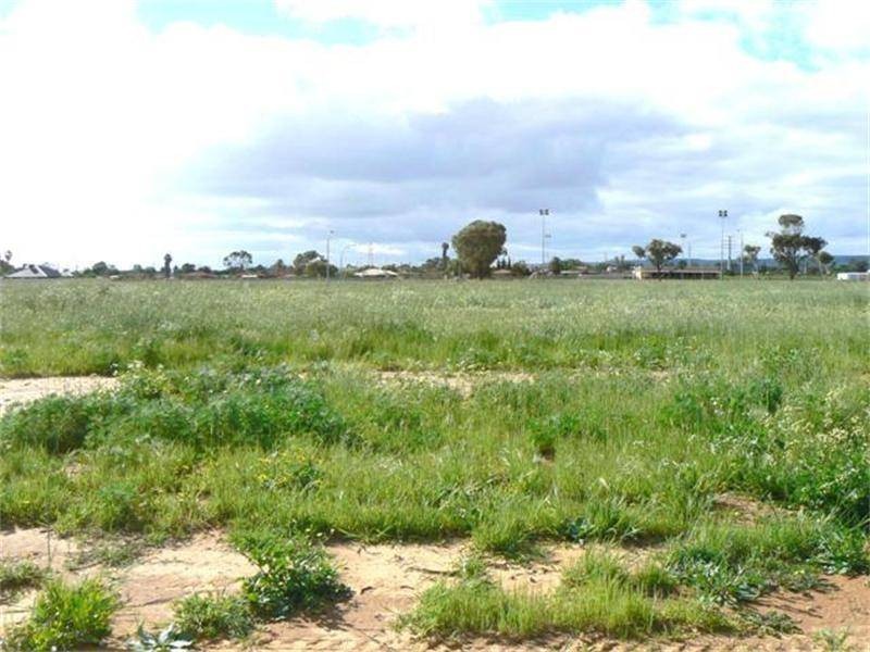 Lot 453, 15 Donegal Street, Utakarra WA 6530