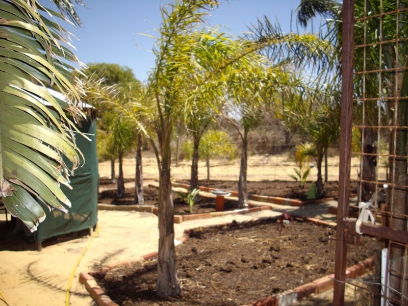 Lot 110, 177 Cooper Street, Geraldton WA 6530