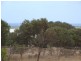 2 34 Hampton Road, Rudds Gully WA 6532
