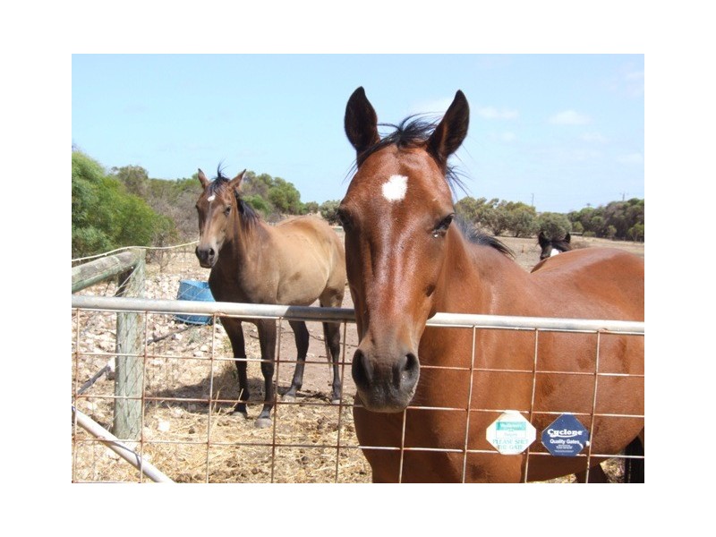 2 34 Hampton Road, Rudds Gully WA 6532