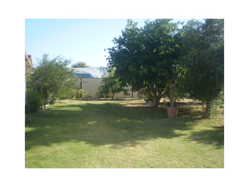 22 Weeloo Street, Waggrakine WA 6530