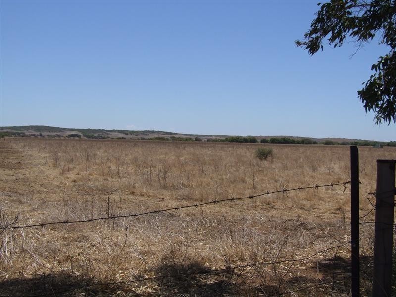 Lot 84, 84 Company Road, Greenough WA 6532