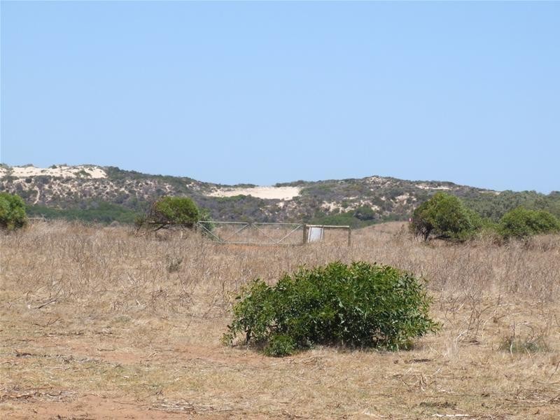 Lot 84, 84 Company Road, Greenough WA 6532