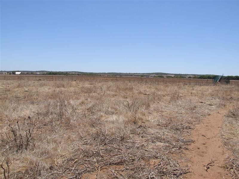 Lot 84, 84 Company Road, Greenough WA 6532