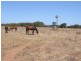 Lot 84, 84 Company Road, Greenough WA 6532
