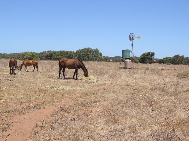 Lot 84, 84 Company Road, Greenough WA 6532