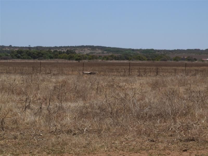 Lot 84, 84 Company Road, Greenough WA 6532