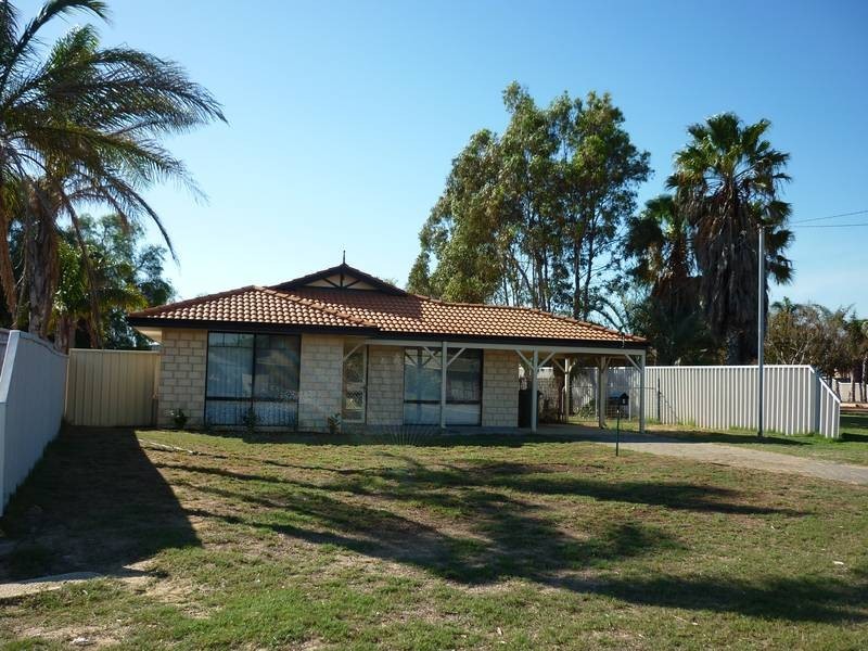9 Astron Place, Waggrakine WA 6530