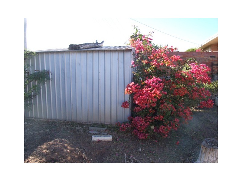 38 Wittenoom Street, Geraldton WA 6530