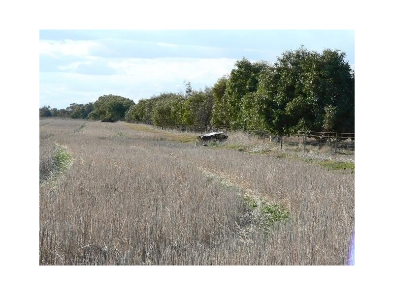 Lot 6, 6 Edward Road, Narngulu WA 6532