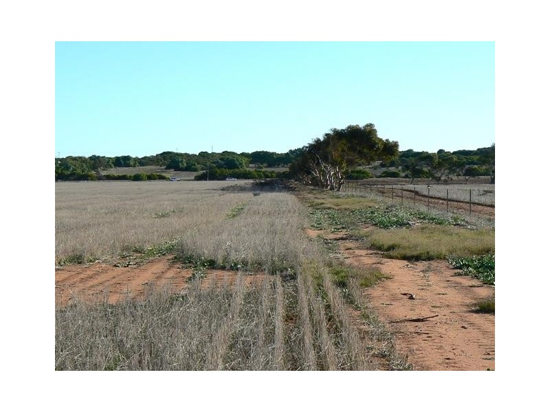 Lot 6, 6 Edward Road, Narngulu WA 6532
