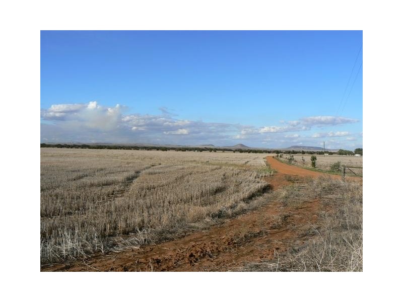 Lot 6, 6 Edward Road, Narngulu WA 6532