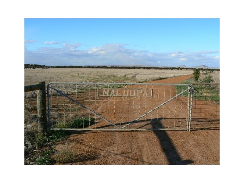 Lot 6, 6 Edward Road, Narngulu WA 6532