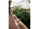 82 McAleer Drive, Mahomets Flats WA 6530